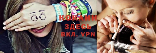 стафф Арсеньев