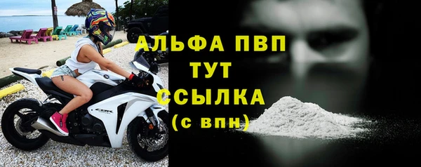 стафф Арсеньев
