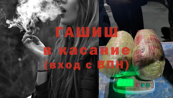 стафф Арсеньев