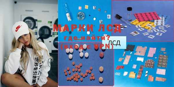 стафф Арсеньев