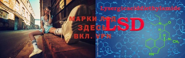 стафф Арсеньев